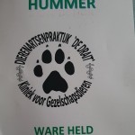 Ware Held Hummer