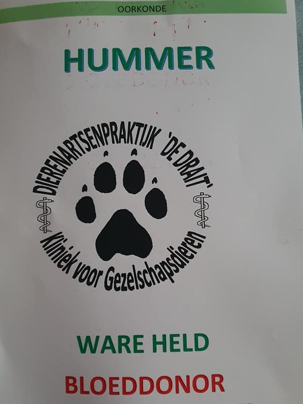 Ware Held Hummer