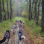 Lekker door het bos