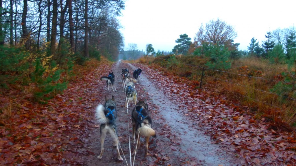 Vals plat/lekker stampen