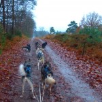 Vals plat/lekker stampen