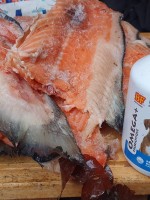 Zalm en probiotica