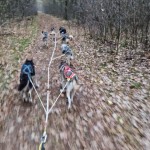 Lekker door het bos