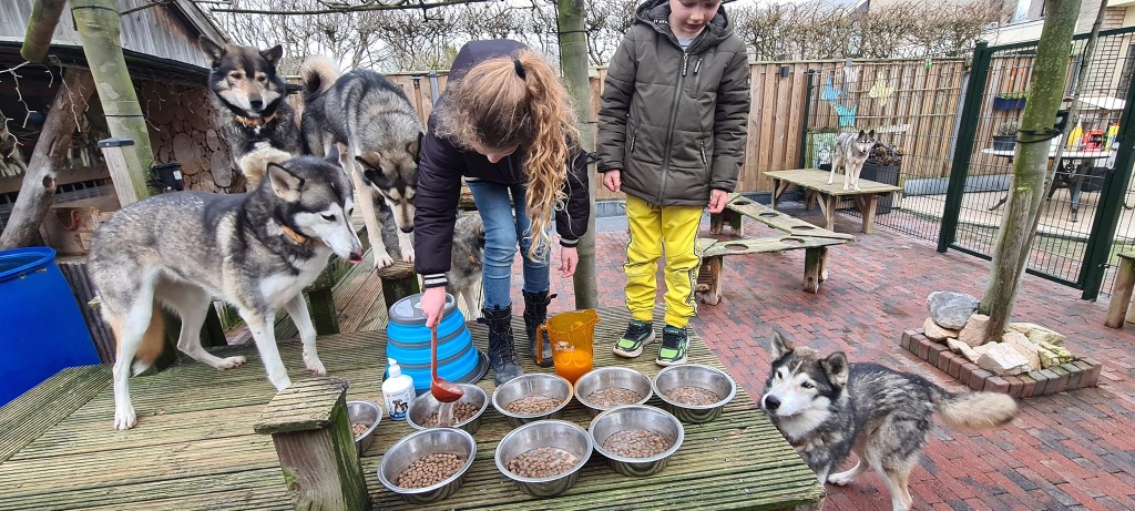 Honden eten klaar maken