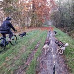 Samen onderweg