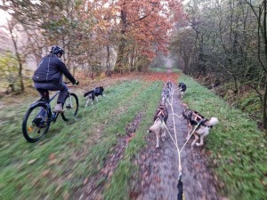 Samen onderweg