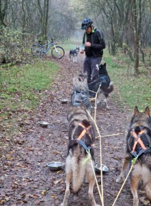 Snacken in het bos