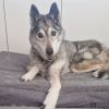 Dag Lieve Mooie Sky