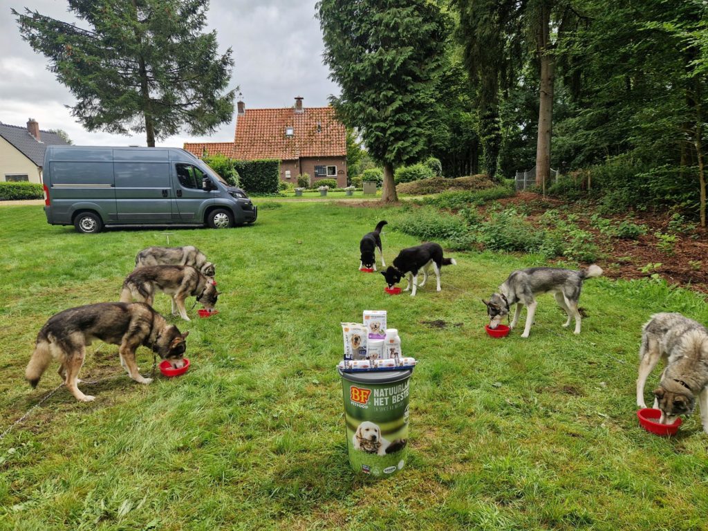 Husky's Hoenderloo